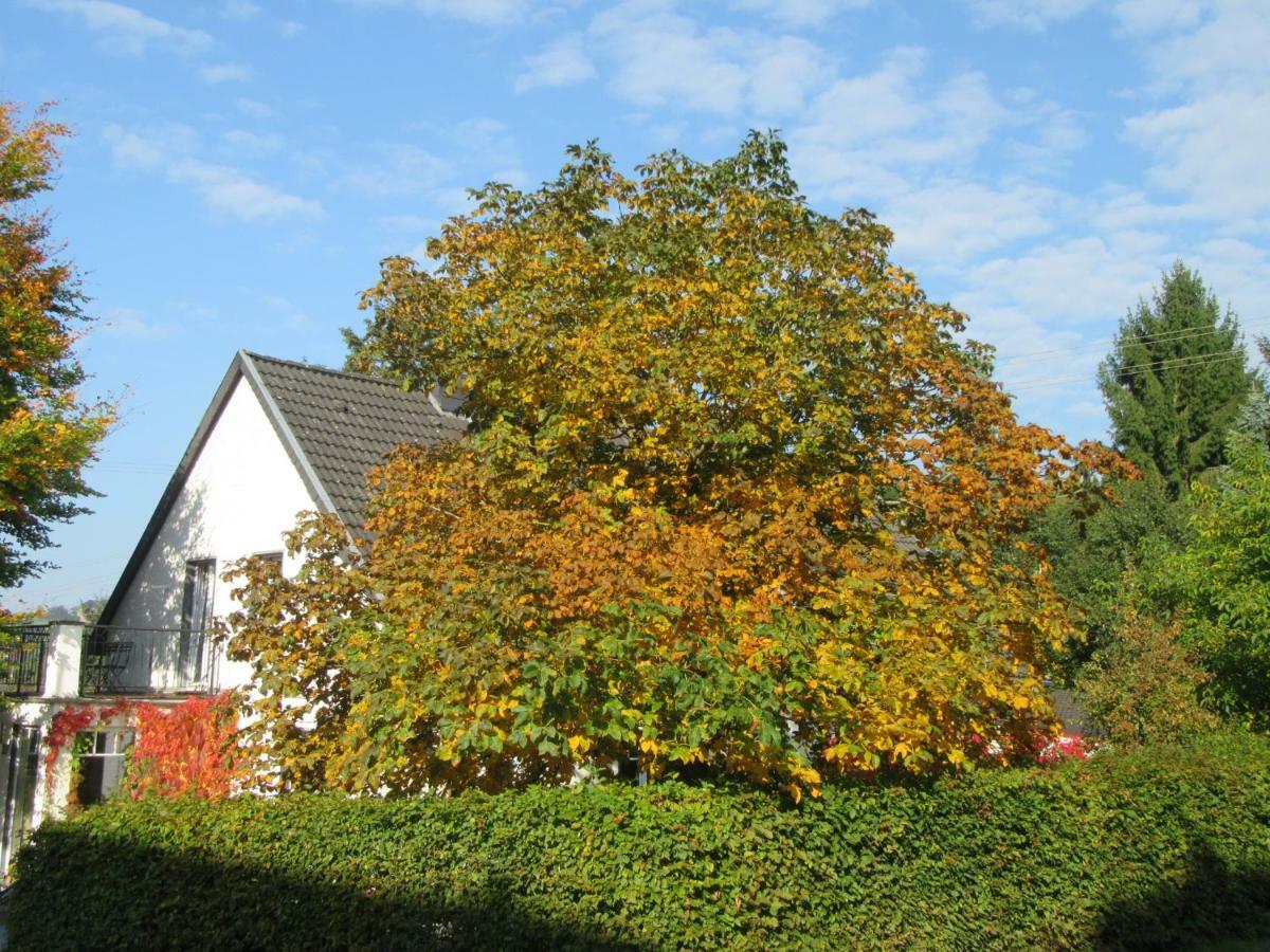 Eifel Gaestewohnung Blankenheim  Zewnętrze zdjęcie